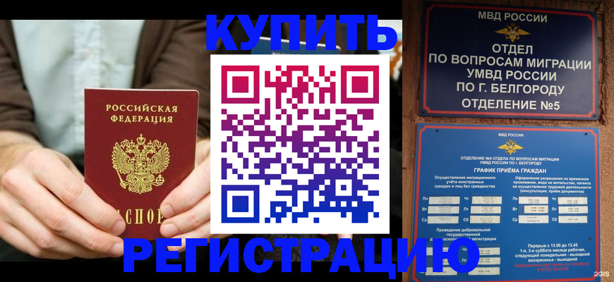 прописка 2025 в Мурино